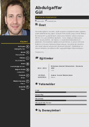Bilgisayar Programcısı CV Örnekleri cv indir